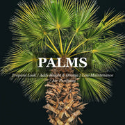 Palm category graphic showing a fan palm beneath the heading Palms